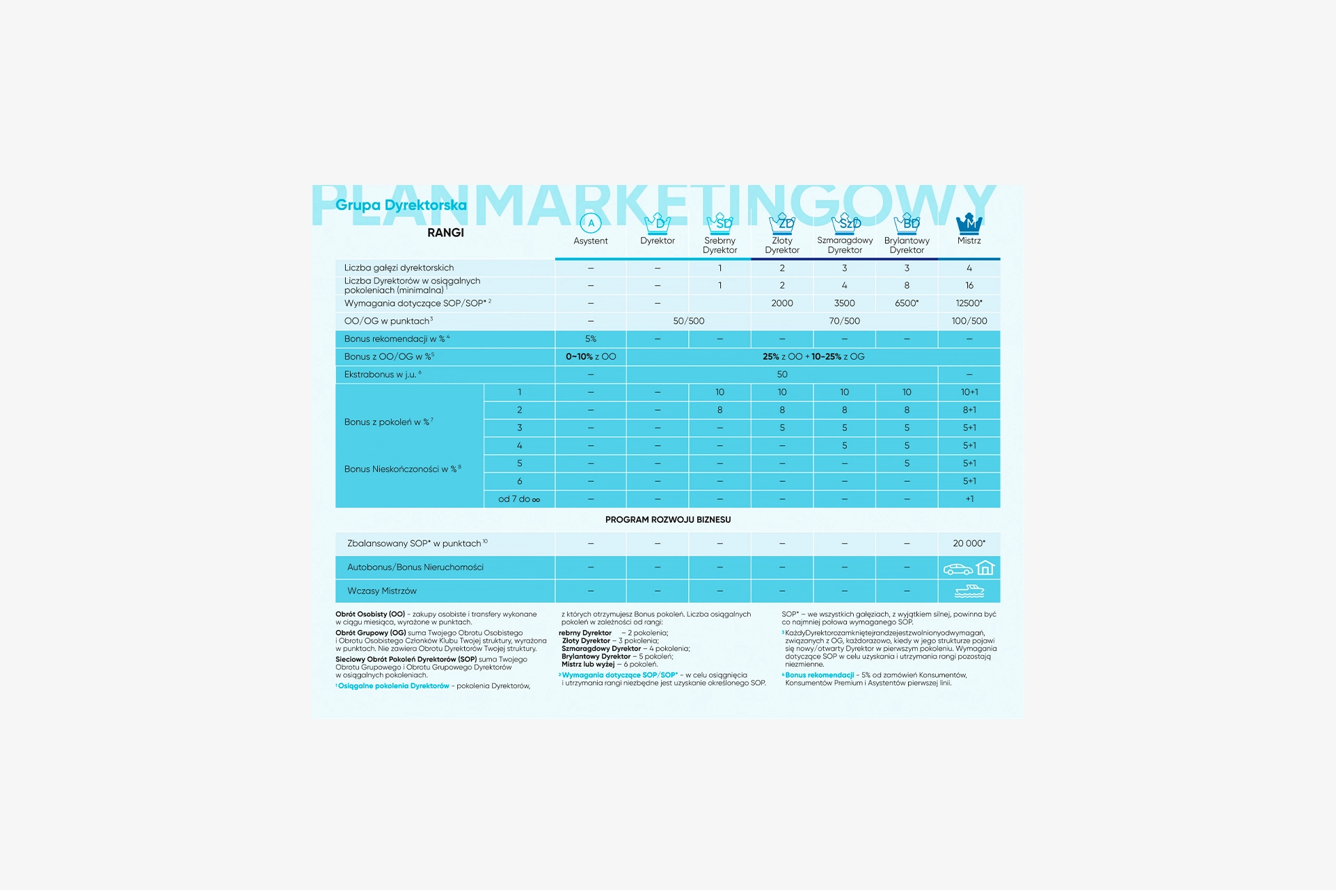 Plan Marketingowy