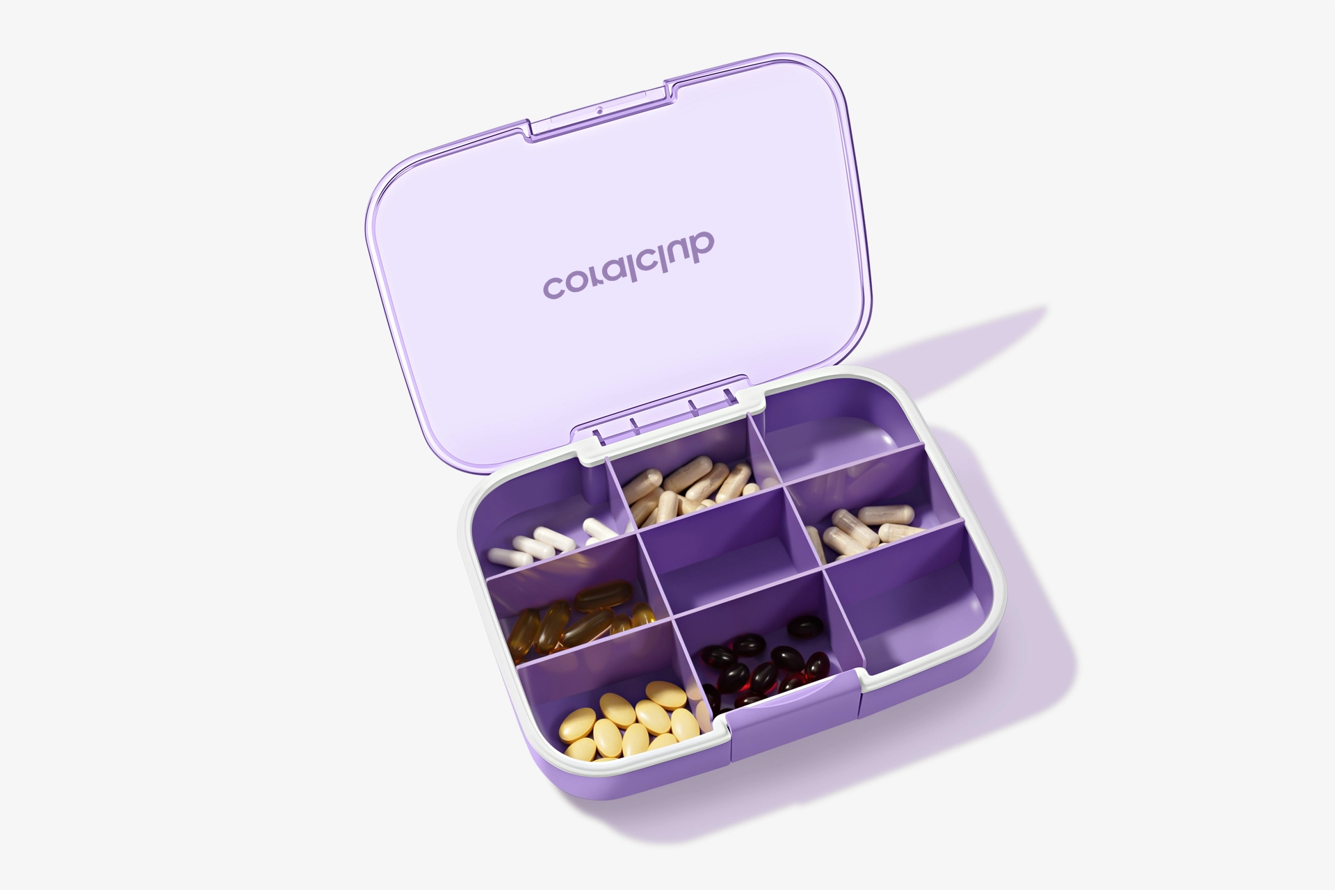 GoBox maxi, fioletowy